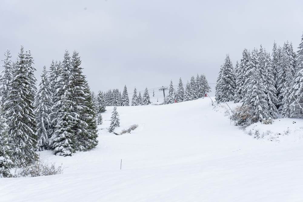 Les Gets November 2019 - Snow Pictures Today - Temperatures below Zero