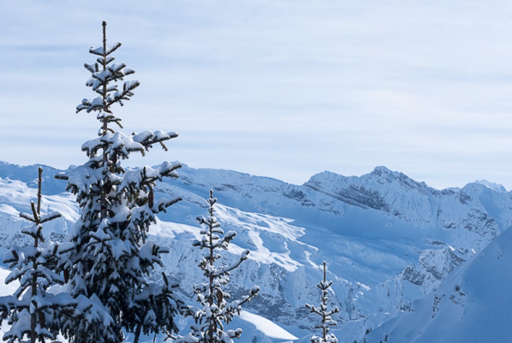 Snow Conditions 2nd February