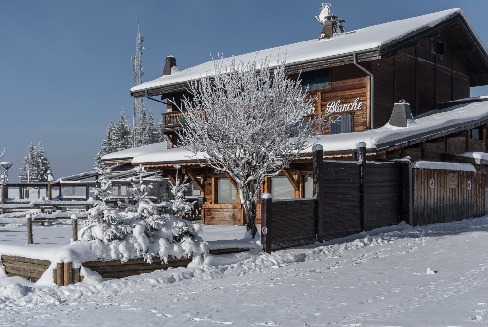 Incredible Snow in Les Gets - Avoriaz Open