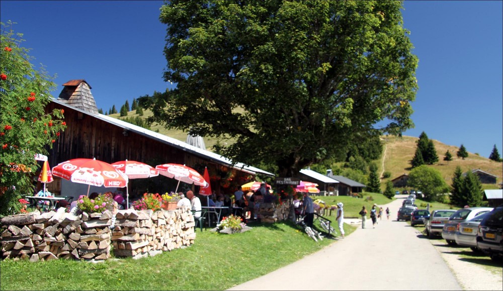 Two of the best easy mountain walks from the centre of Les Gets