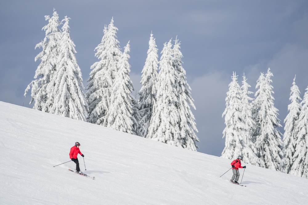 What Makes a Good Ski School & why Les Gets has the best ski schools