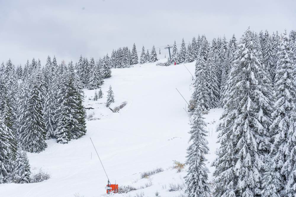 Les Gets November 2019 - Snow Pictures Today - Temperatures below Zero