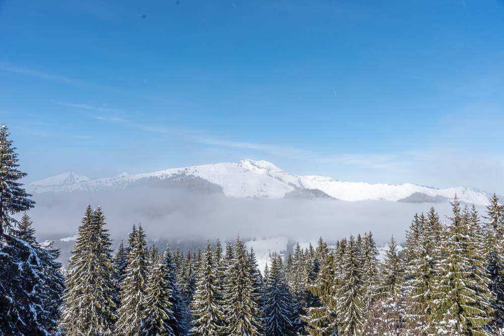 Fantastic Xmas Week - Excellent conditions in Les Gets