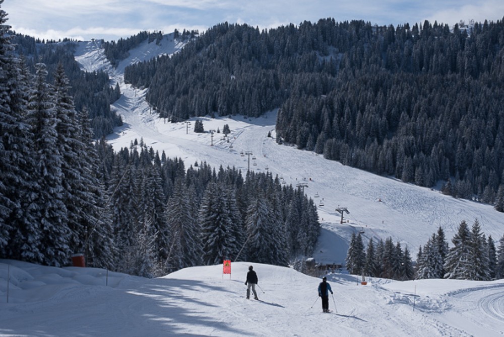 Snow Conditions 2nd February