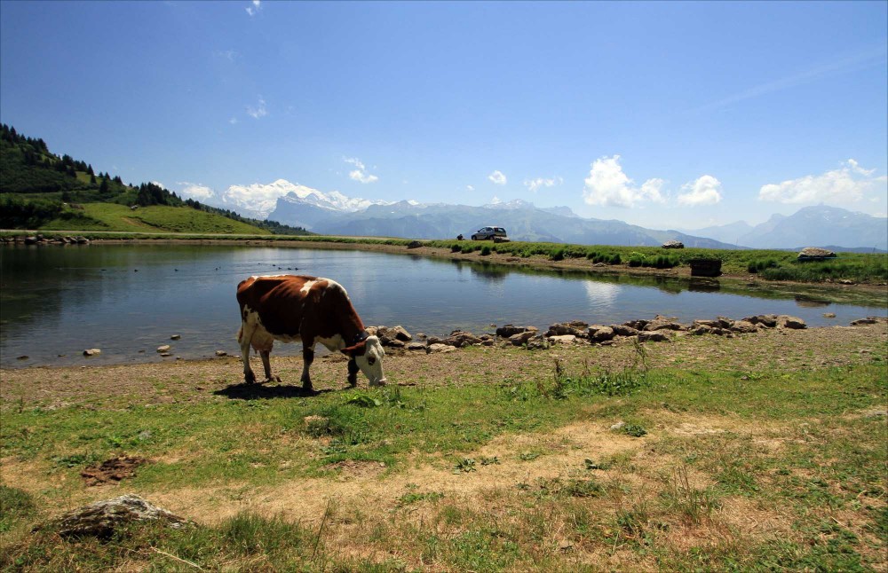 Two of the best easy mountain walks from the centre of Les Gets
