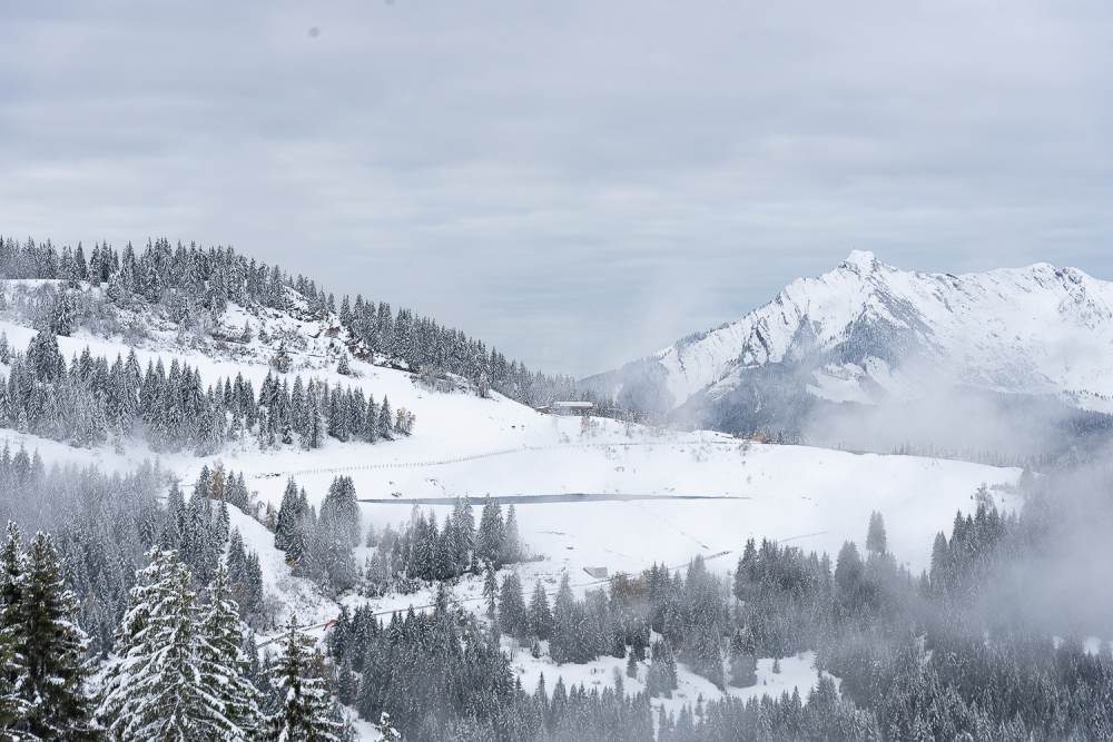 Les Gets November 2019 - Snow Pictures Today - Temperatures below Zero