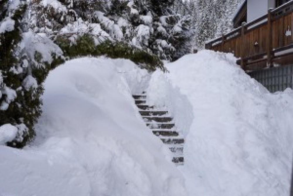 Snow Conditions 2nd February