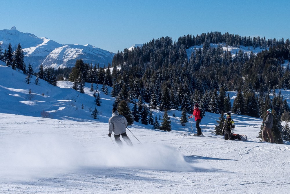 Les Gets Ski area - Why Ski in Les Gets