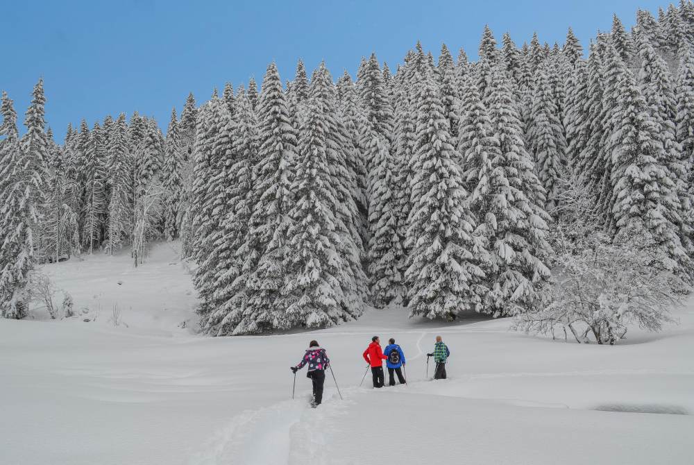 Snowshoeing and Hiking in the Snow in Les Gets