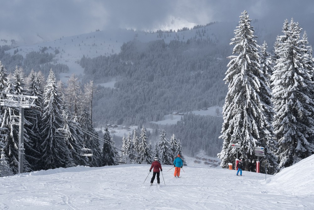 Les Gets Ski area - Why Ski in Les Gets
