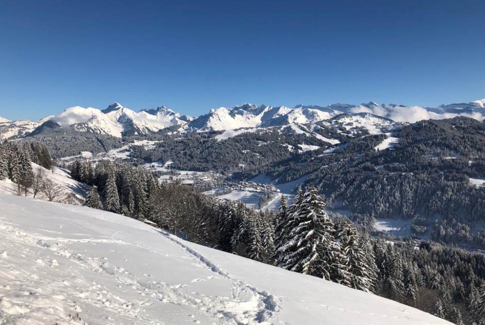 Snowshoeing and Hiking in the Snow in Les Gets